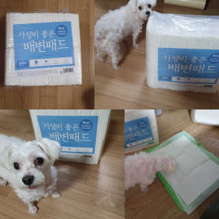 마이쭈님이 올린 리뷰 사진 1