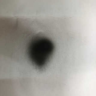 이한솔님이 올린 리뷰 사진 2