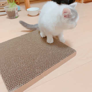 Caroline님이 올린 리뷰 사진 4