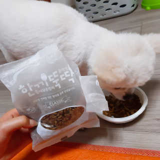 [펫토리아] 맛도 영양도 BEST 한끼뚝딱 강아지 사료 — 5점을 준 리뷰어가 2018년 12월 올린 사용 사진