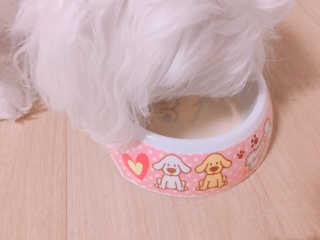 리본님이 올린 리뷰 사진 2
