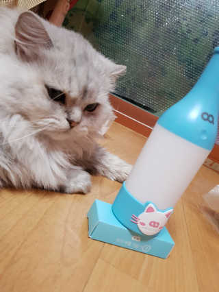 이영실님이 올린 리뷰 사진 4