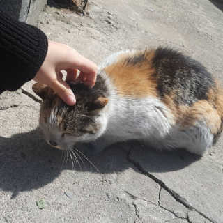 가횽님이 올린 리뷰 사진 3