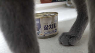 설탕맘님이 올린 리뷰 사진 1
