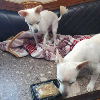 강슬기뀨님이 올린 리뷰 사진 3