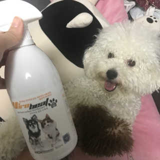 zzi님이 올린 리뷰 사진 1