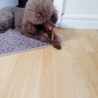 코밍쏭님이 올린 리뷰 사진 3