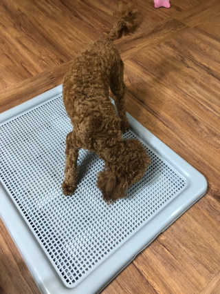 밍굴이님이 올린 리뷰 사진 3