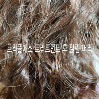 청청님이 올린 리뷰 사진 4