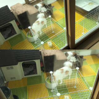 hasso님이 올린 리뷰 사진 4
