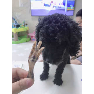 HyohyunKim님이 올린 리뷰 사진 4