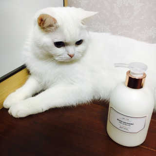 다연잉님이 올린 리뷰 사진 2