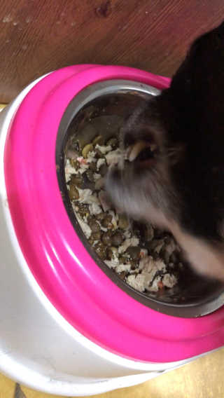김예림님이 올린 리뷰 사진 2