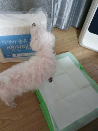 마이쭈님이 올린 리뷰 사진 2