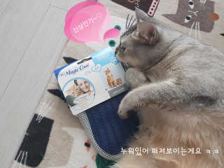 Four paws 리뉴얼 포포즈 매직코트 털 제거 브러쉬 — 5점을 준 리뷰어가 2018년 8월 올린 사용 사진