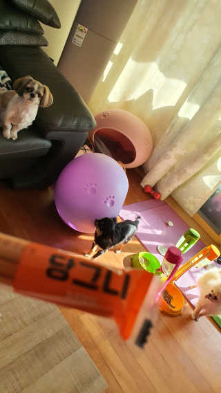 유네님님이 올린 리뷰 사진 4