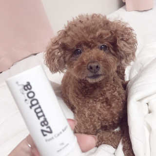 단비비비빕님이 올린 리뷰 사진 1