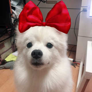 ❤지니❤님이 올린 리뷰 사진 3