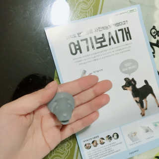 김한솔님이 올린 리뷰 사진 1
