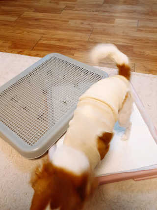 DaminSong님이 올린 리뷰 사진 2