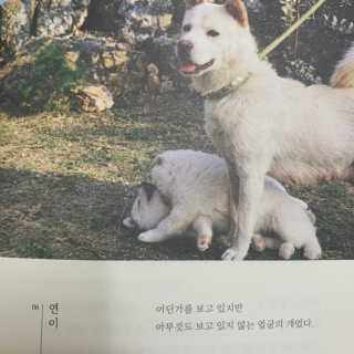 소리님이 올린 리뷰 사진 3