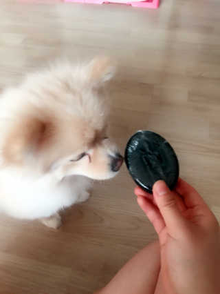 카오스님이 올린 리뷰 사진 1