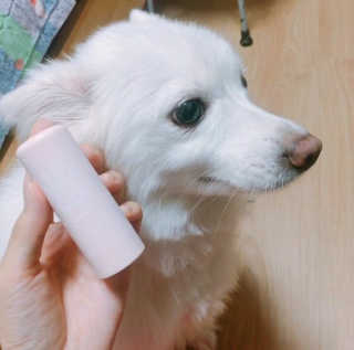 박선민님이 올린 리뷰 사진 2