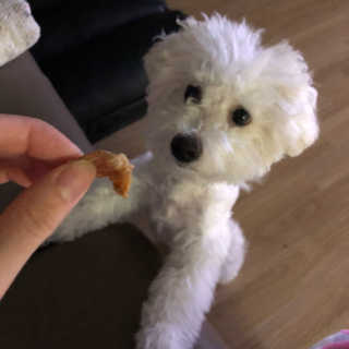 하으리님이 올린 리뷰 사진 2