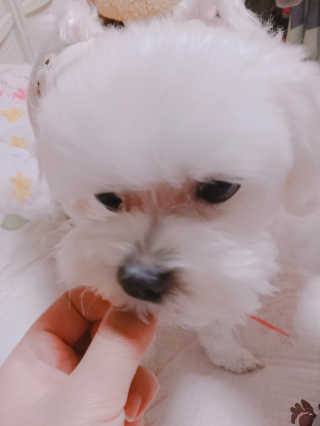 도담님이 올린 리뷰 사진 3