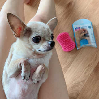 니니님이 올린 리뷰 사진 1