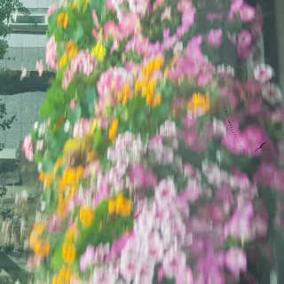 emma님이 올린 리뷰 사진 2