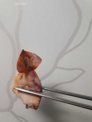 너부리사랑님이 올린 리뷰 사진 2
