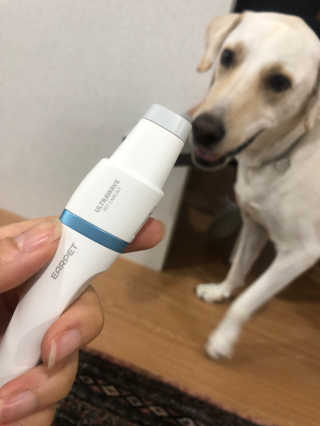 정봐기린님이 올린 리뷰 사진 3