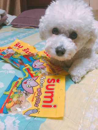 도리니님이 올린 리뷰 사진 3
