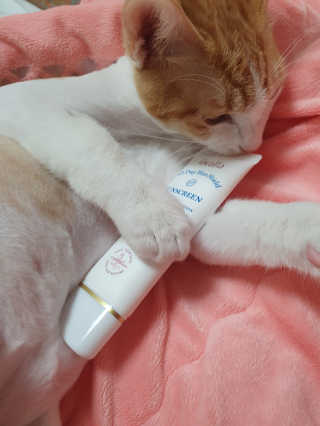 투마하뚜님이 올린 리뷰 사진 2