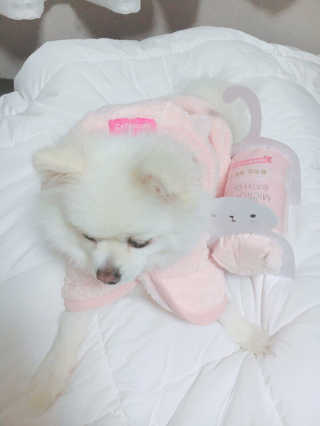 김부건님이 올린 리뷰 사진 2