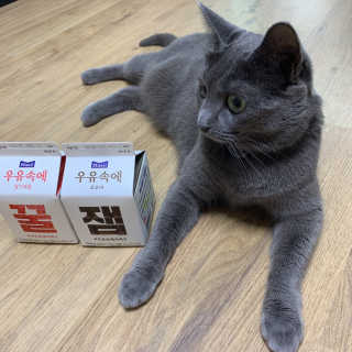 [매일유업] 우유속에 어쩌구_7개 모바일쿠폰 — 3.5점을 준 리뷰어가 2019년 6월 올린 사용 사진