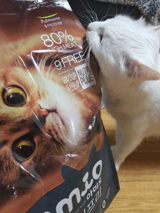 정이님이 올린 리뷰 사진 2