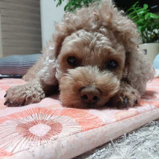 선샤인님이 올린 리뷰 사진 2