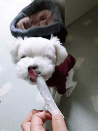 듀부듀부님이 올린 리뷰 사진 3