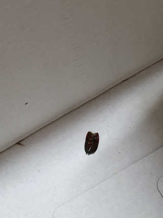 블리블리♡은블리♡님이 올린 리뷰 사진 4