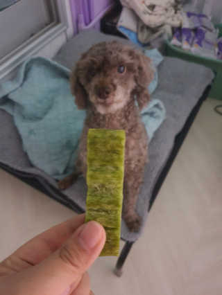 긴냥님이 올린 리뷰 사진 2