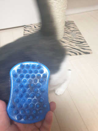 JinjuHwang님이 올린 리뷰 사진 3