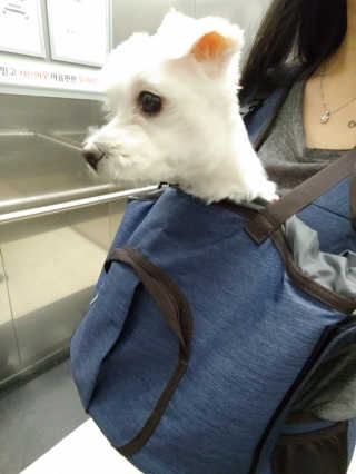 Songx님이 올린 리뷰 사진 2