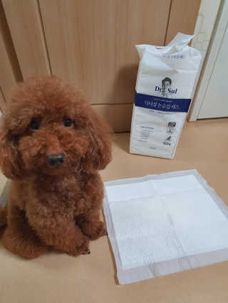호호엄마님이 올린 리뷰 사진 4