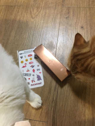 리뷰쓰는언니님이 올린 리뷰 사진 1