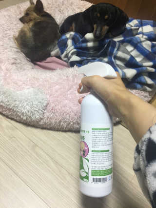 민블리님이 올린 리뷰 사진 2
