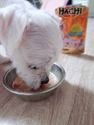 빡찌님이 올린 리뷰 사진 1