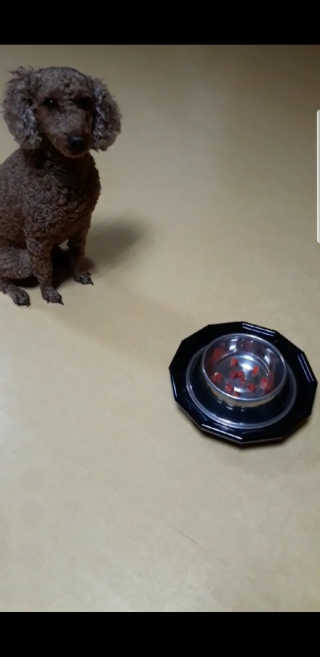 짱아둥이님이 올린 리뷰 사진 1
