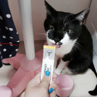 가브님이 올린 리뷰 사진 1
